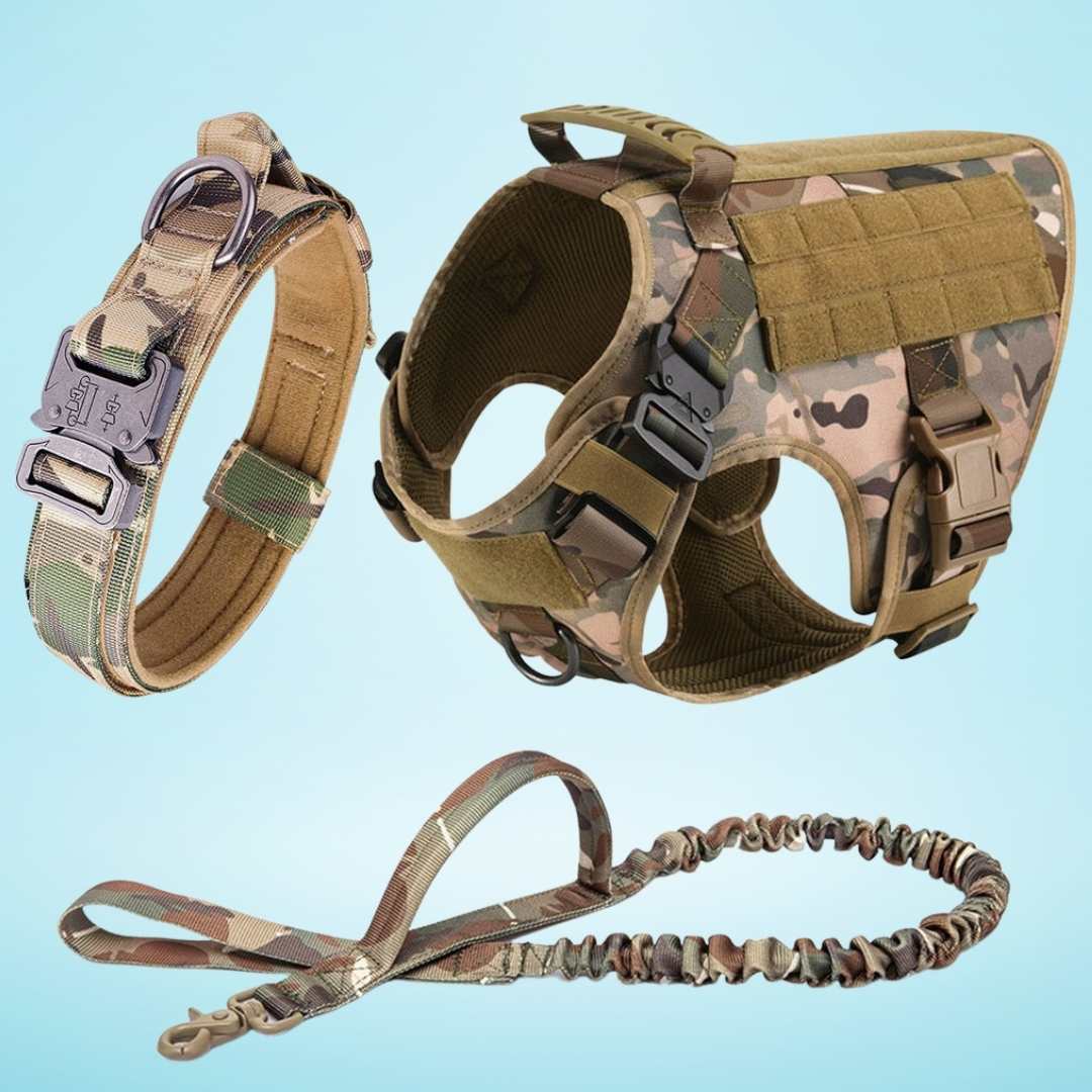 PrestigeWalk™ Dog Harness & Leash Set