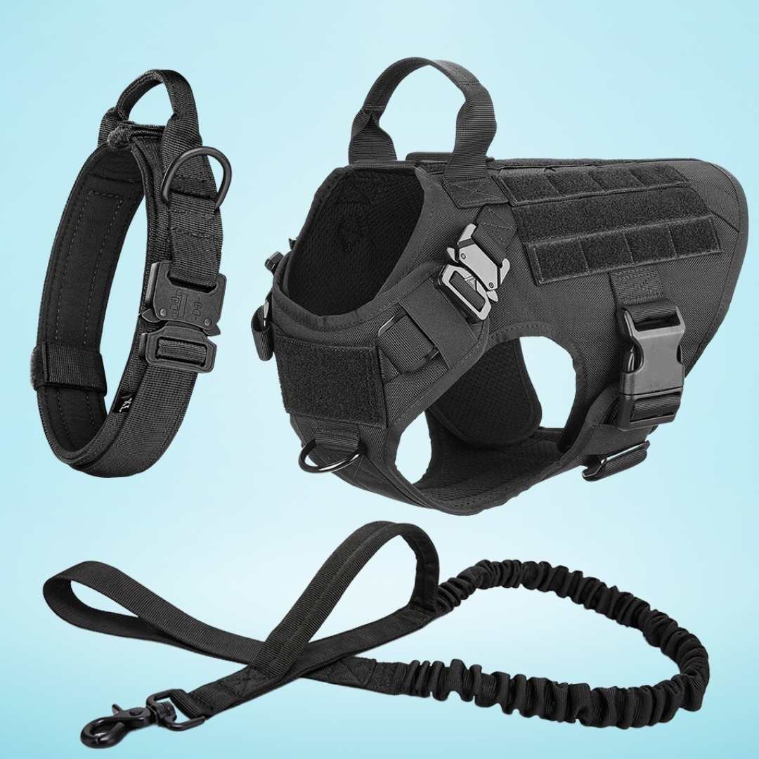 PrestigeWalk™ Dog Harness & Leash Set