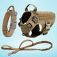 PrestigeWalk™ Dog Harness & Leash Set